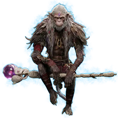 PoE 2 Build Check Service - Get Professional Insight on How to Improve Your Build